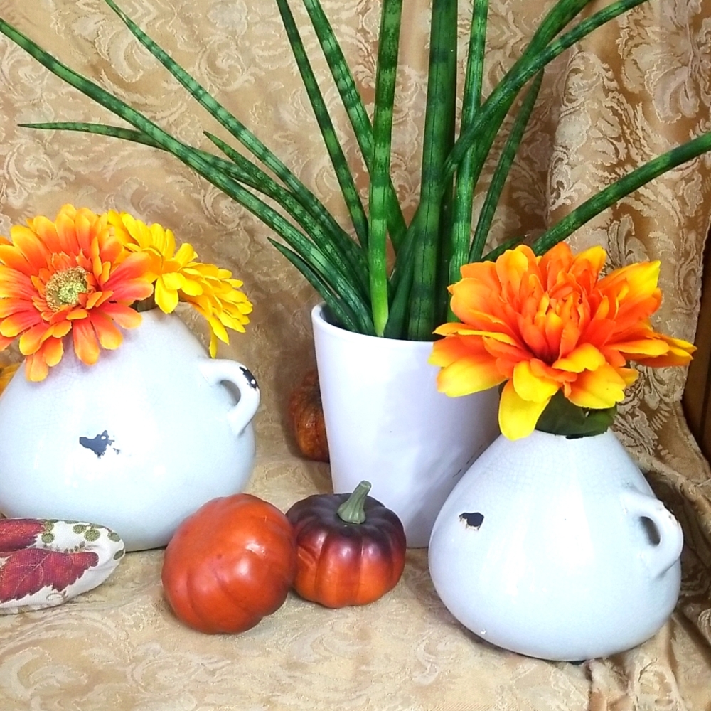 Accent Flower vase x2
